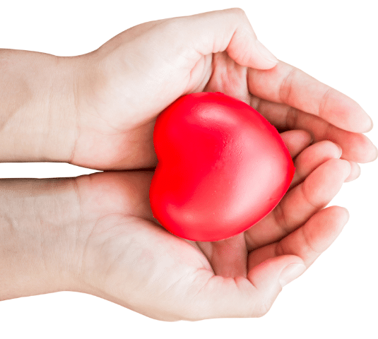 Enroque Seguros - Estas aun paso mas cerca de vivir protegido